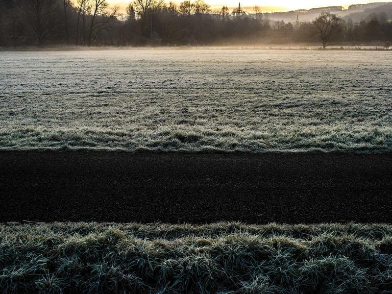 Aged Balsamic Vinegar