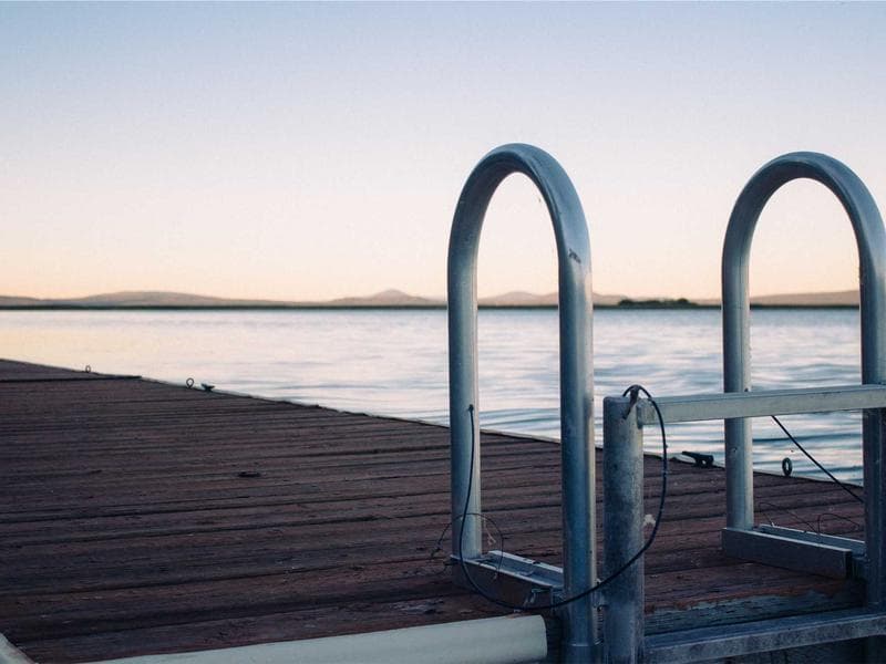 Herb de Provence Medley