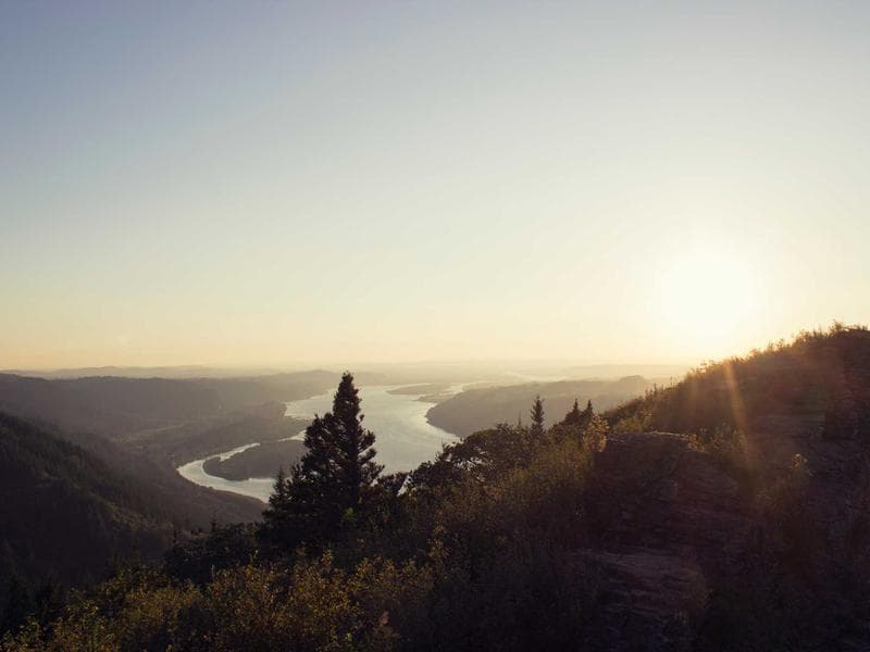 Jerk Seasoning close-up